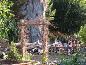 Viney trellis