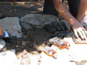 Bottles were layed on cob for insulation