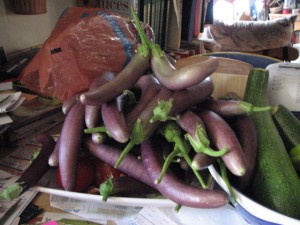 Long eggplants are Japanese or Chinese