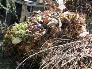 A lot of debris on top of the heap....