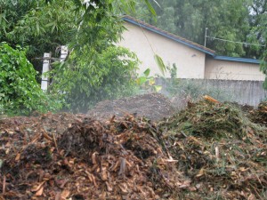 Steam from the mulch mountains. I stood on it just now and steam went up my pant legs and warmed me up!