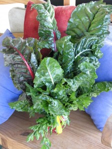 A rainbow chard and parsley bouquet for Valentine's Day