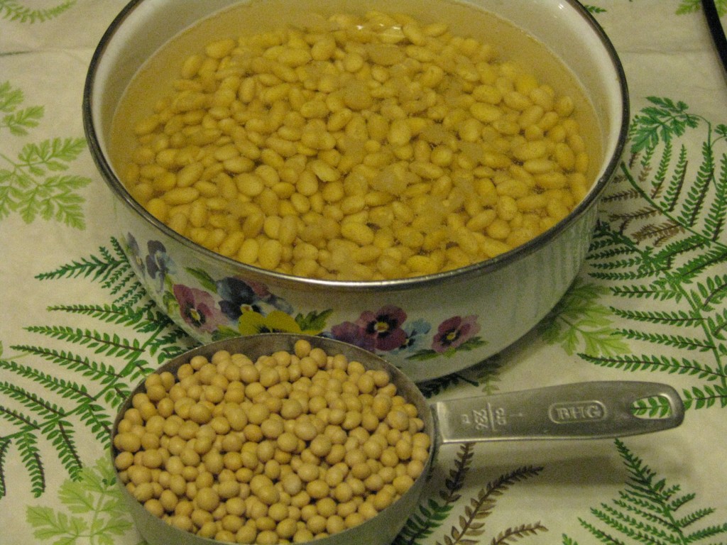 Make Your Own Soymilk Finch Frolic Garden Permaculture