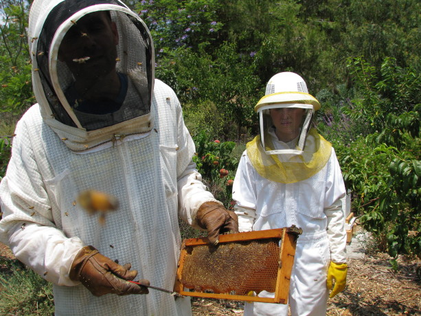 Quentin holds a frame full of wax-capped honey cells while Miranda looks on.