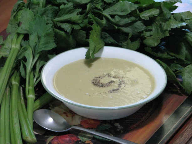 Celery soup, served hot or cold, is delicious and great for you!