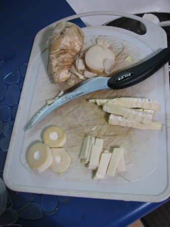 A shoot cut in three different ways. The material behind the knife (upper left) is too fibrous to eat.