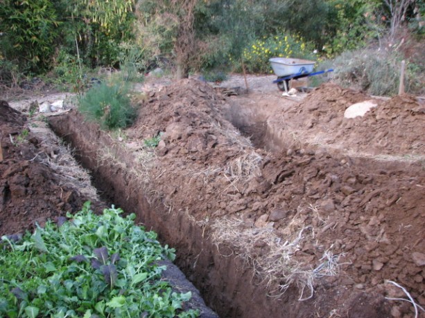 These first two trenches will collect rainwater from the pathways and channel it the length of the garden.