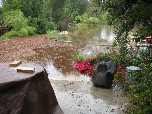 The big pond backed up to the cement slab where the cob oven sits!  