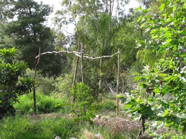 We wired on curly willow trunks in the corners, and wired long branches across the tops and the middle.