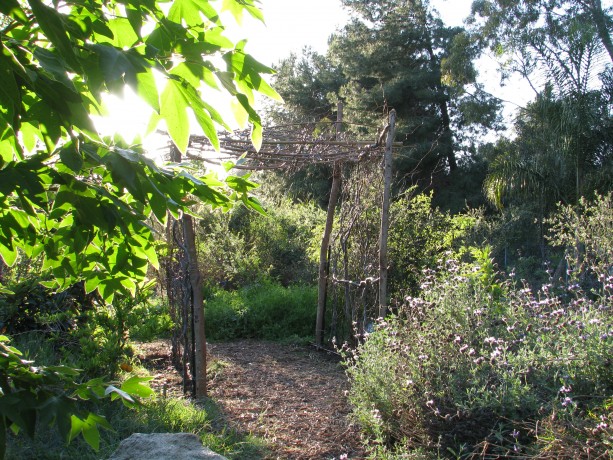 A walk-through squash trellis. The vines will give it stability, and hang through.