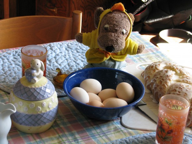 Easter breakfast.  Hard boiled eggs, naturally colored by our hens, fresh tangerine juice, our traditional stollen from my mother's recipe, and Peanut in his chicky robe ready to launch into the food.  Peanut doesn't act his age, of about 40+ years, but has traveled and been photographed extensively in Europe and Ecuador.   Its nice that he wakes up for holidays.