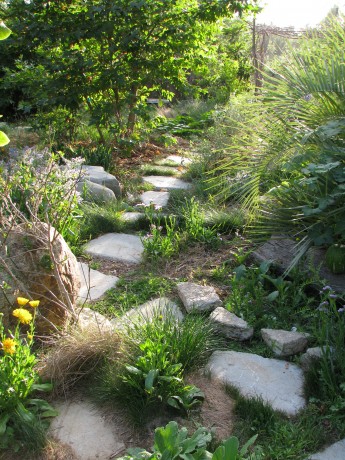 Urbanite stepping stones work beautifully in the garden  allowing plants to grow in between.