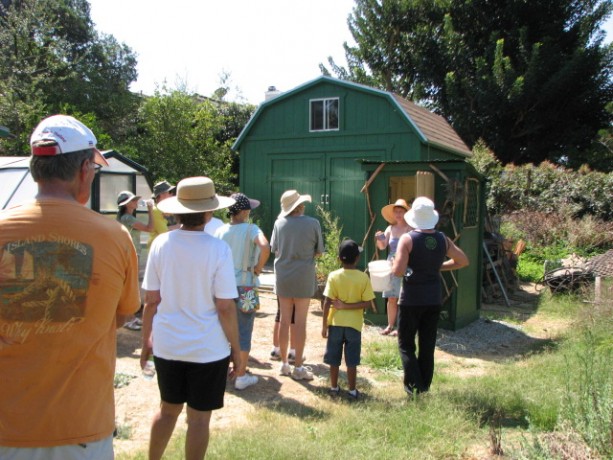 Tour Finch Frolic Garden!