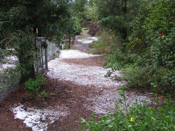 The pathway down to the Mock Pavilion.
