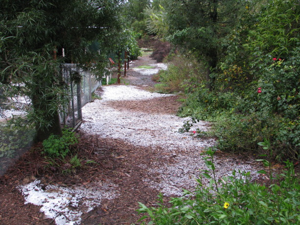 The pathway down to the Mock Pavilion. 