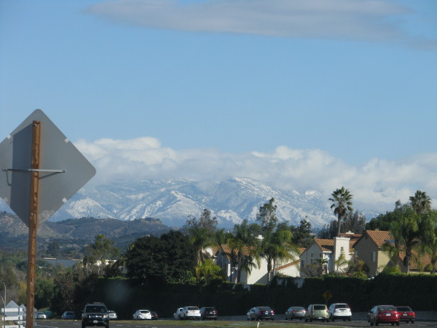 This is a prime Southern California winter scene: palm trees and red tile roofs - and traffic - with snow on the mountains.  The peaks are usually only dusted in snow in Jan. or Feb.  