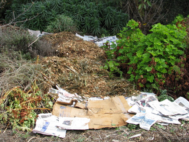 A 1/2 inch of cardboard or newspaper  with mulch on top.