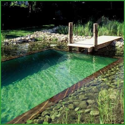 A natural pool upgrades your pool to a lovely pond without the use of chemicals.