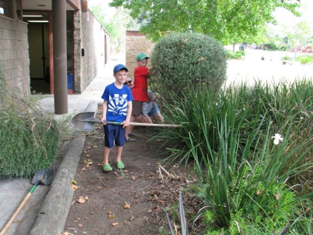Jakie and Jackson help Miranda cut down a shrub.