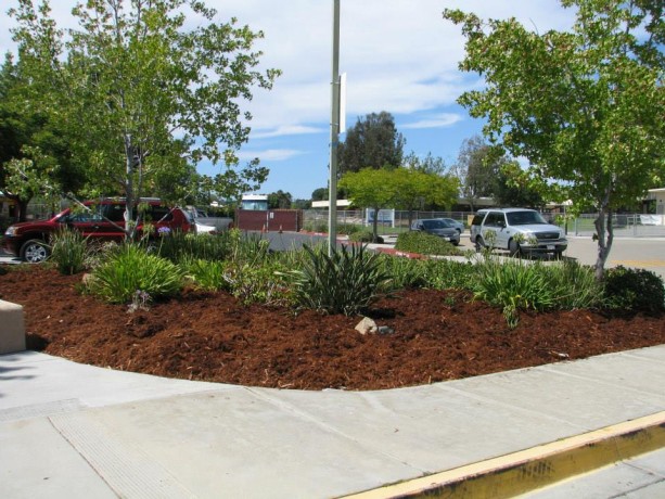 Extra mulch was used for another planting bed.  If funds become available, plants can be added by simply cutting through the cardboard to plant.