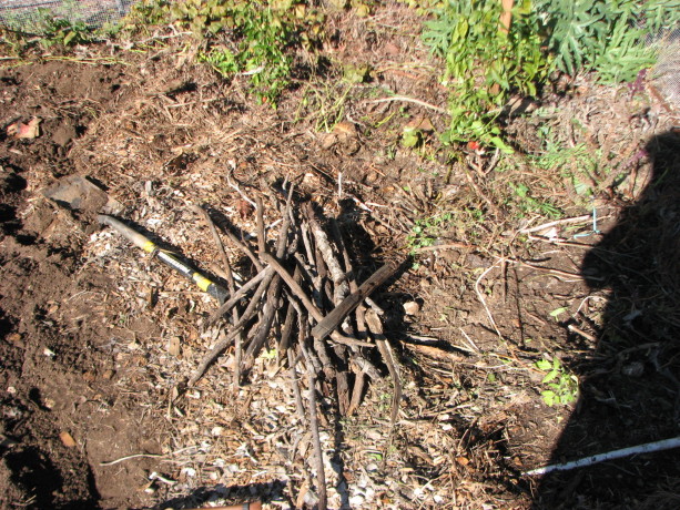 Sticks. So important for the soil. These went in vertically around the planting bed to act both as one type of gopher deterrent (a physical barrier) and also as food and as water retention for the veggies.