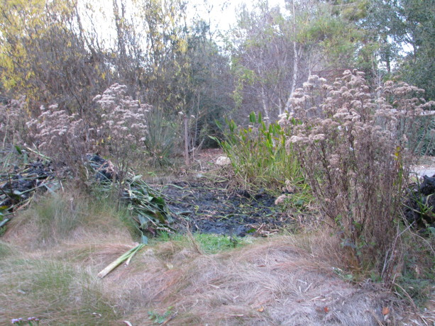 After: Finished with the digging. Still more work to do -including cleanup of the mountain of organic matter - before refilling. 