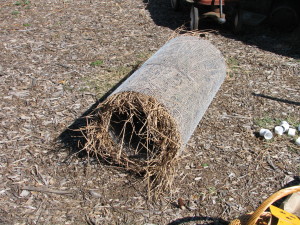 The nesting tube.  Kind of like a jelly roll for mallards.