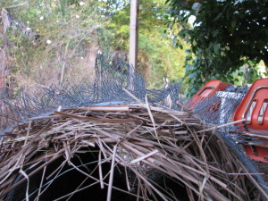 Miranda cut strips of chicken wire and these were bent and wired on top to prevent birds from landing.
