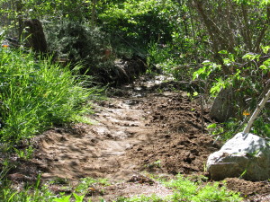 Digging gentle swales along a pathway can turn it into a rain catchment system. Make your paths work for you!