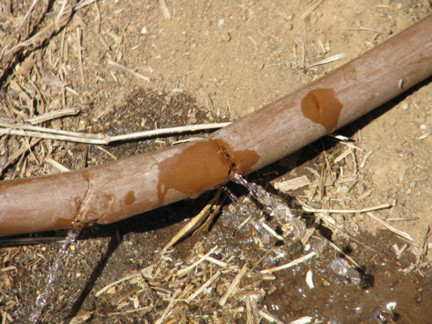 This tubing is so easily nicked that weeding around it often results in a bad leak that isn't detected for awhile. Leaks cause flooding with dry areas past them on the line.