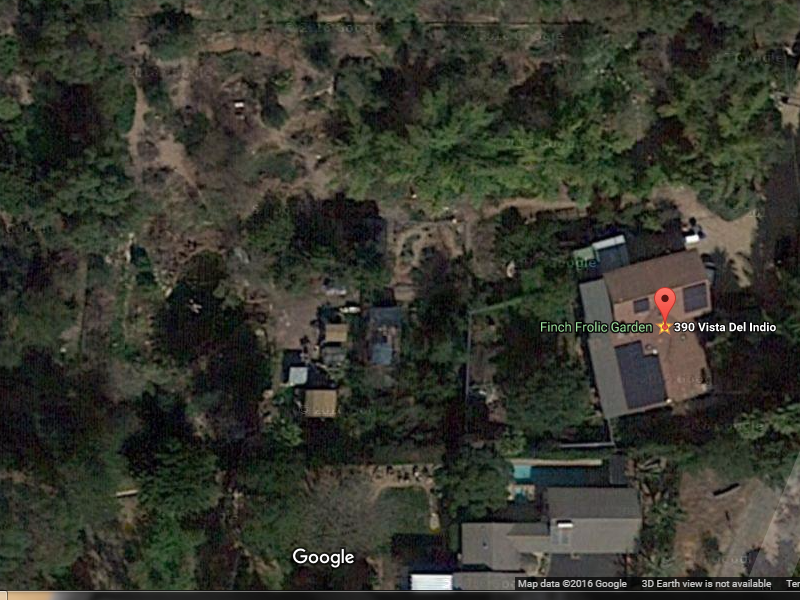 Satellite view of Finch Frolic Garden. This helps to map groupings of vegetation.