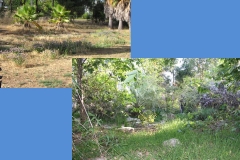 Slide55