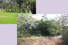 Slide56