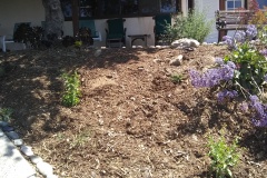 Erosion-Area-Before