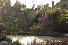 Spring Pond