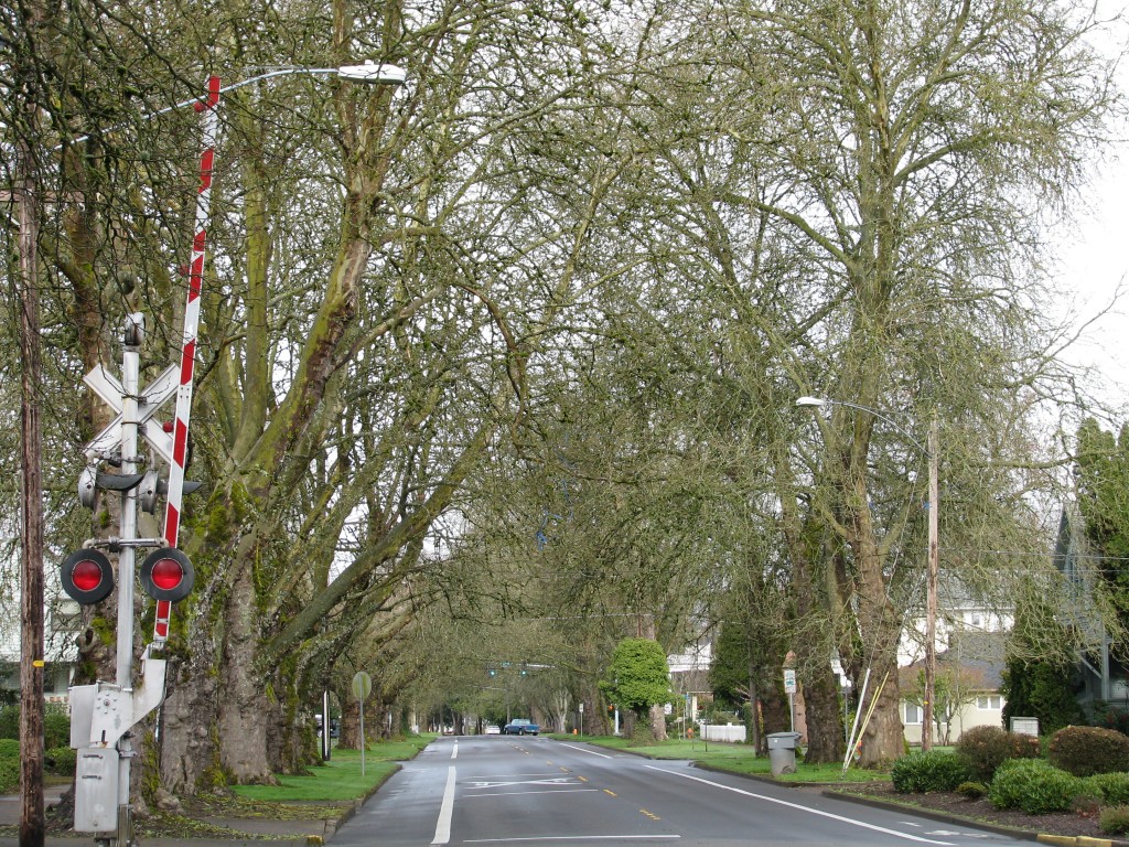 Download From Willow, CA to Corvallis, OR. and back to Lodi, CA ...